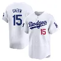 Youth No.15 Shawn Green Los Angeles Dodgers White Limited 2024 World Tour Seoul Series Home Jersey