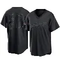 Youth No.20 Don Sutton Los Angeles Dodgers Black Replica Pitch Fashion 2024 World Series Champions Jersey