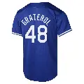 Youth No.48 Brusdar Graterol Los Angeles Dodgers Royal Limited Alternate Jersey